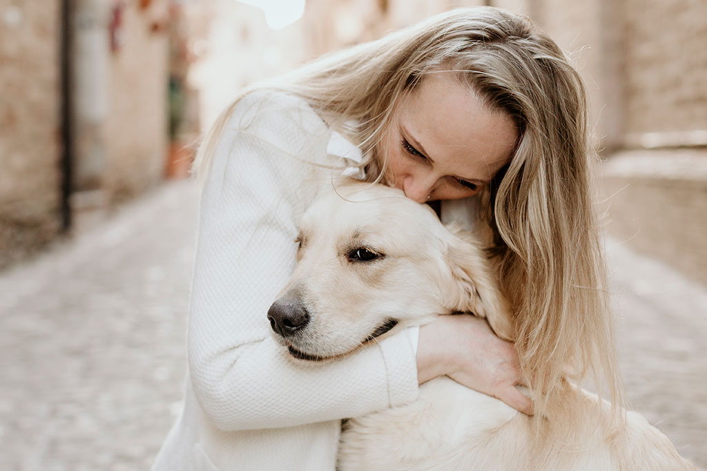 Golden Retriever allevamento My Jewels Honey Marche Macerata